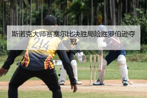 si-nuo-ke-da-shi-sai-sai-er-bi-jue-sheng-ju-xian-sheng-luo-bo-xun-duo-guan-2-941.jpg